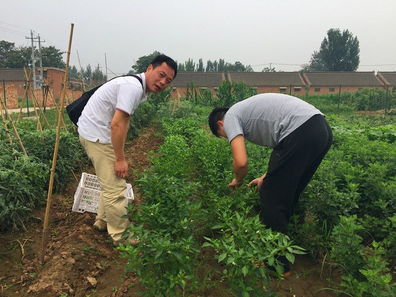 好利來郭總喊您來摘菜啦！綠色無公害，放心！
